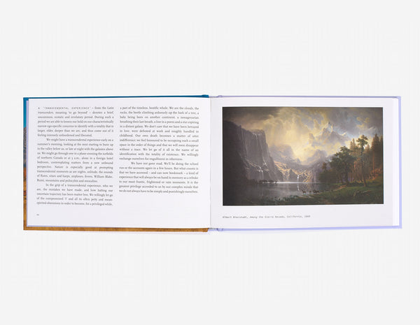 Calm in 40 Images self care book by The School of Life.
