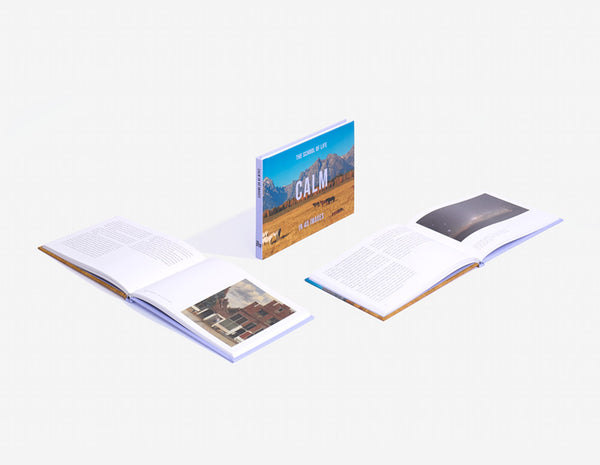 Calm in 40 Images self care book by The School of Life.