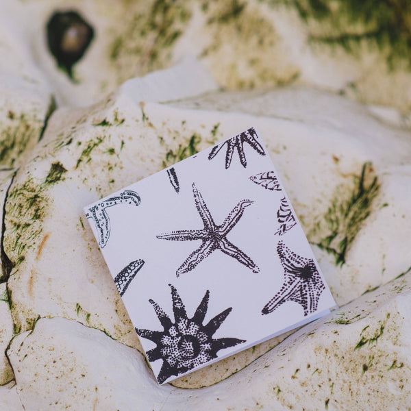 Starfishes Card