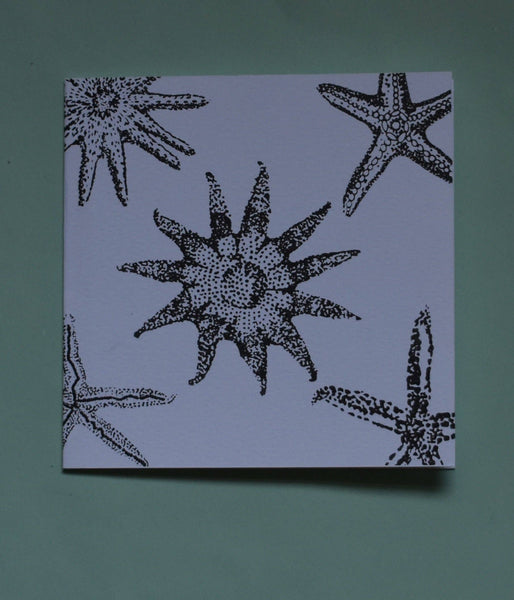 Starfishes Card