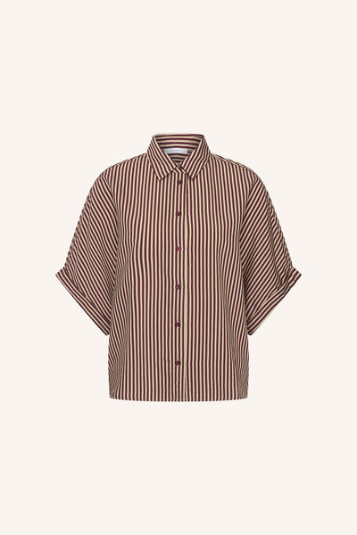 Sunny Stripe Burgundy Blouse