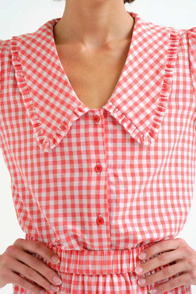 Red Gingham Plaid Shirt