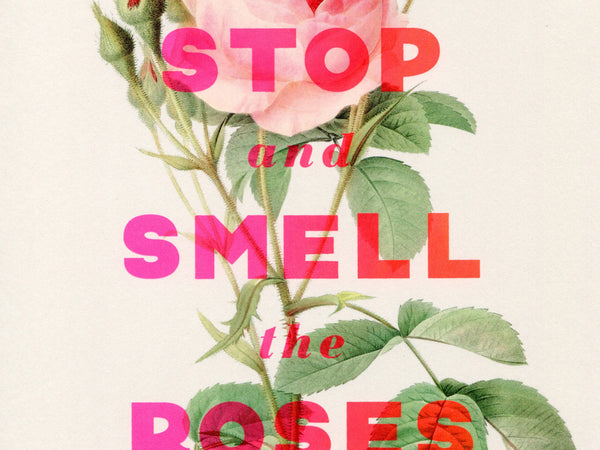 Stop And Smell The Roses A4 Print