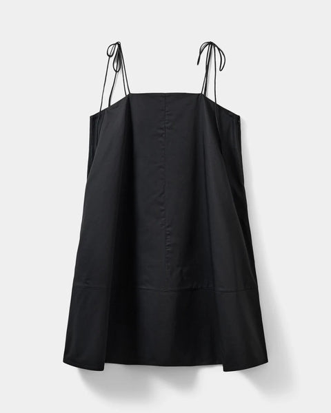 Anaya A Shape Mini Dress