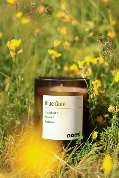 Blue Gum 220g Candle