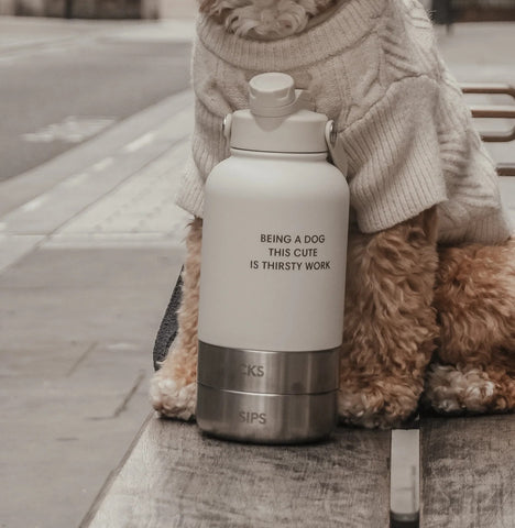 The Bowl Bottle - Marshmallow