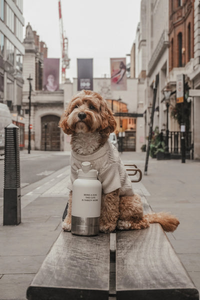 The Bowl Bottle - Marshmallow
