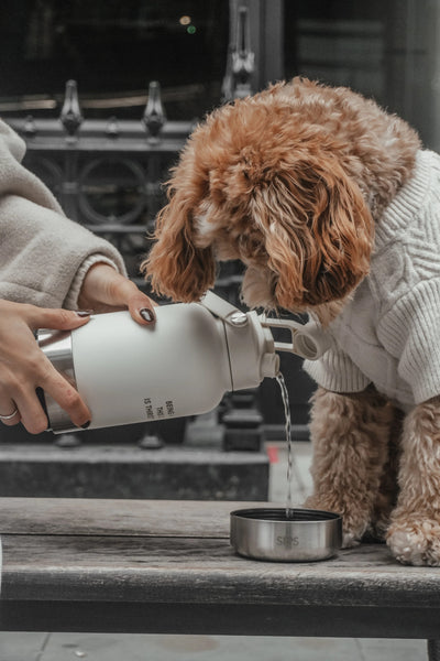 The Bowl Bottle - Marshmallow