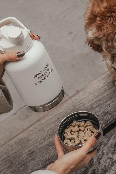 The Bowl Bottle - Marshmallow