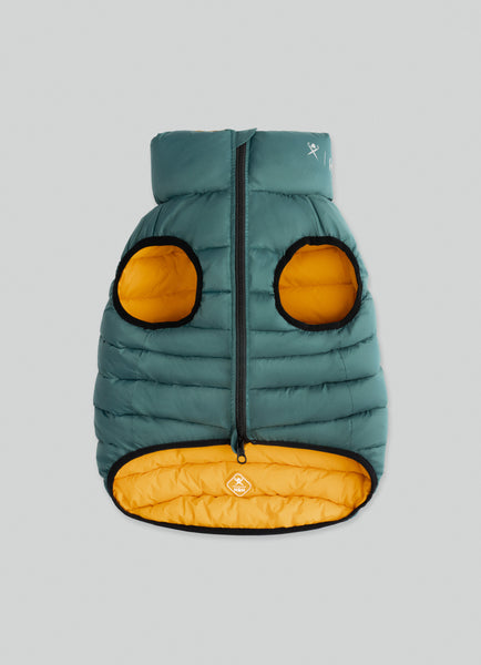 Green dog puffer jacket with teal body and yellow lining on a light grey background