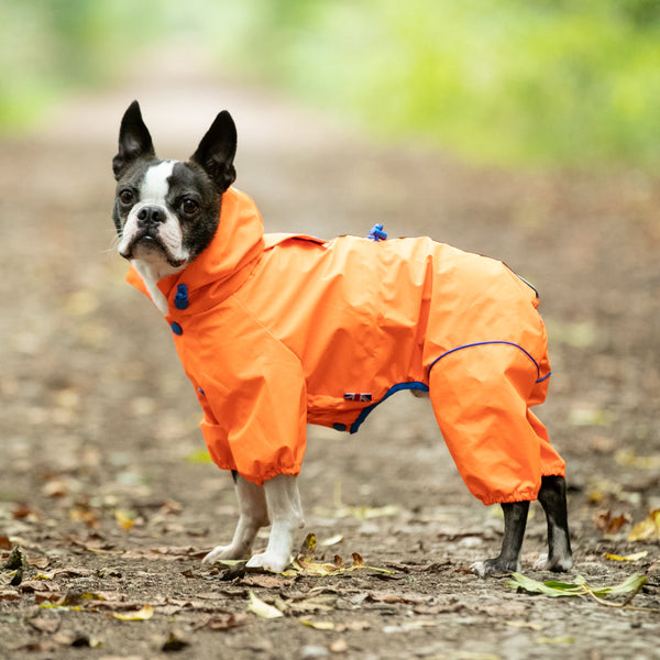 Orange Reflective Dog Overalls