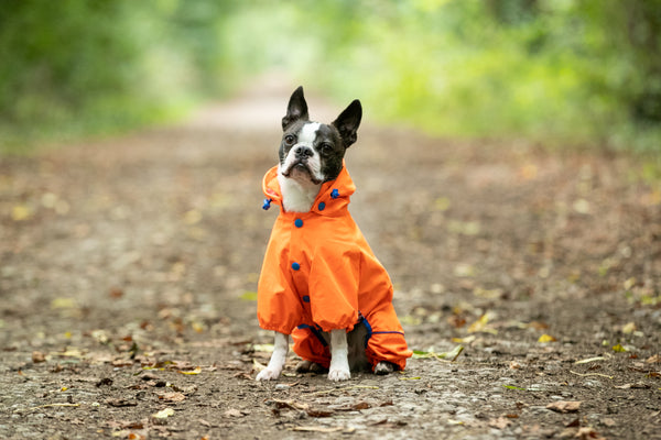 Orange Reflective Dog Overalls