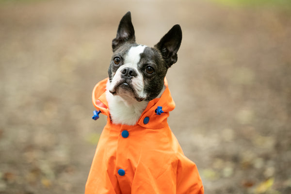 Orange Reflective Dog Overalls