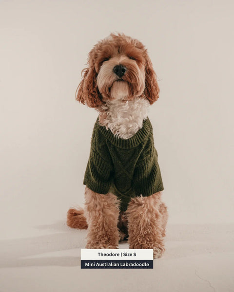 Forest Capsule Cable Knit Dog Jumper
