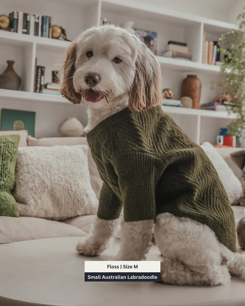 Forest Capsule Cable Knit Dog Jumper