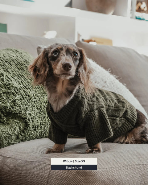 Forest Capsule Cable Knit Dog Jumper