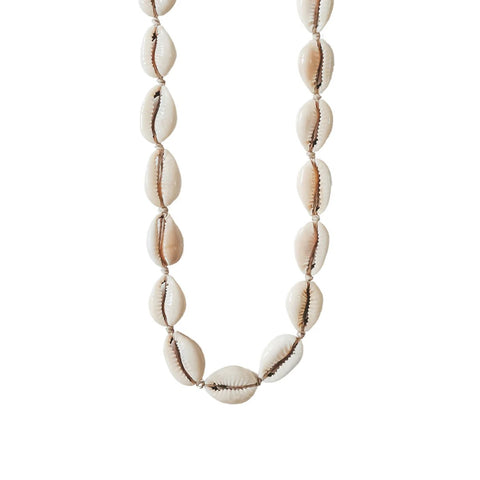 Kerang Ivory Cowrie Shell Choker
