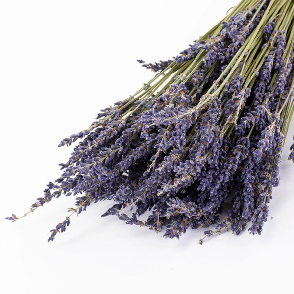 Dried Lavender Bunch