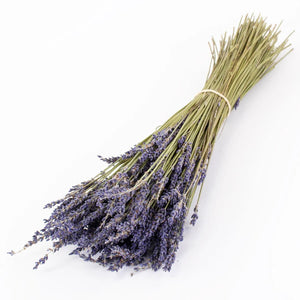 Dried Lavender Bunch