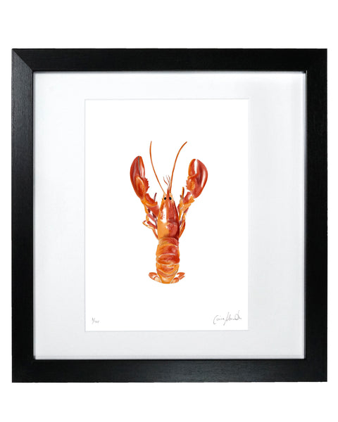 Lobster Print