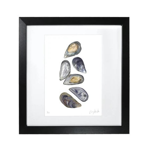 Corinne Alexander Mussels limited edition framed print