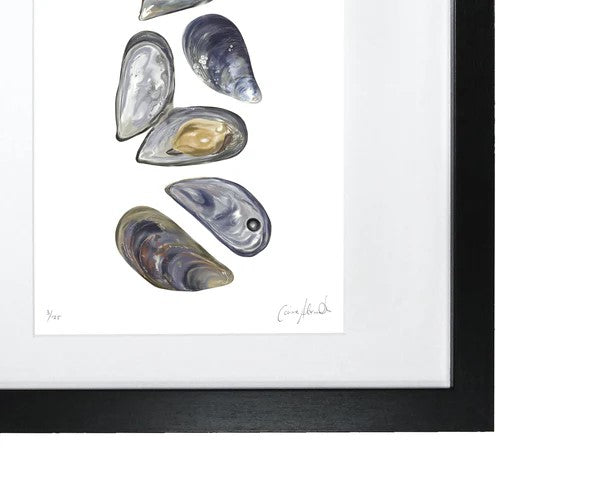 Corinne Alexander Mussels limited edition framed print