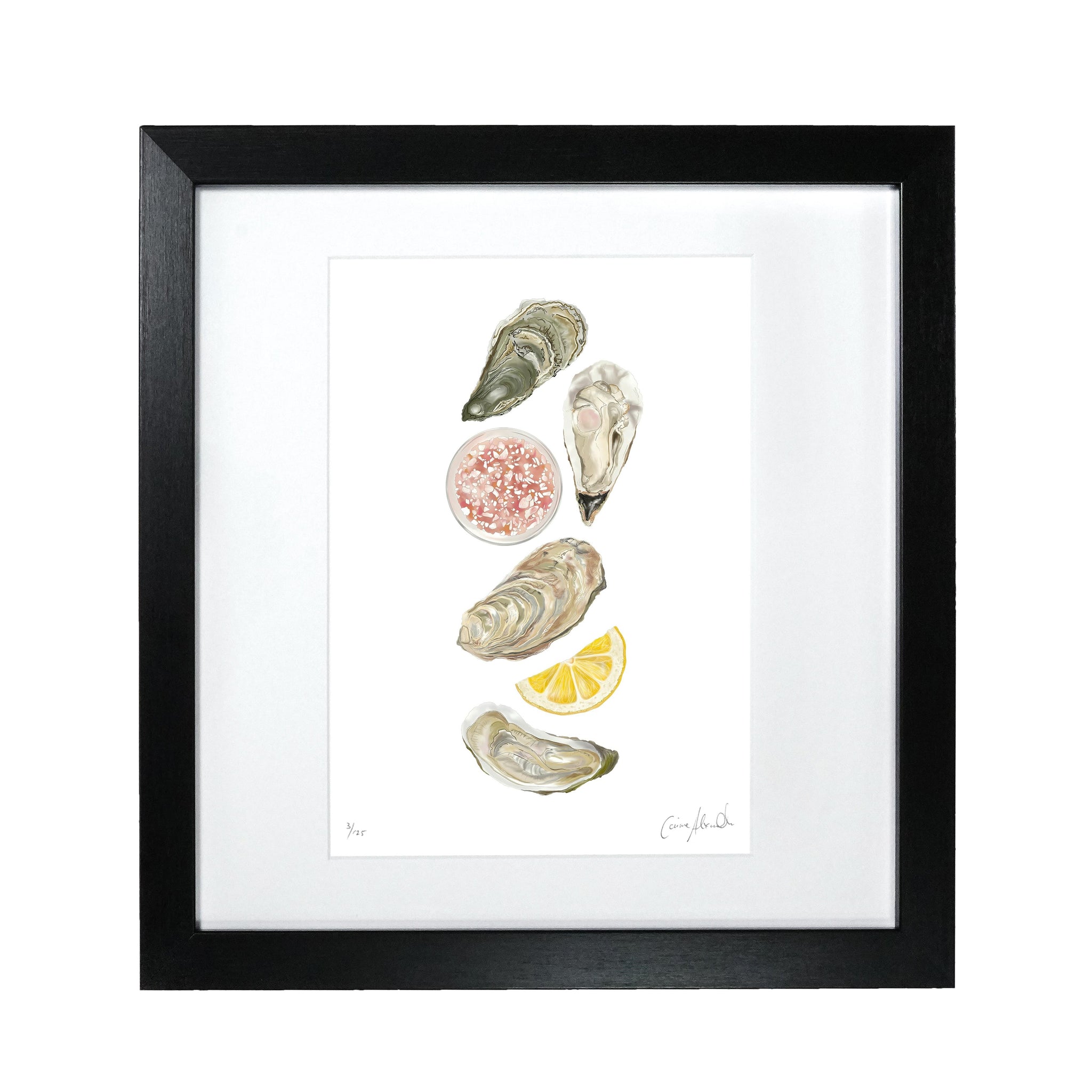 Oyster Print Framed