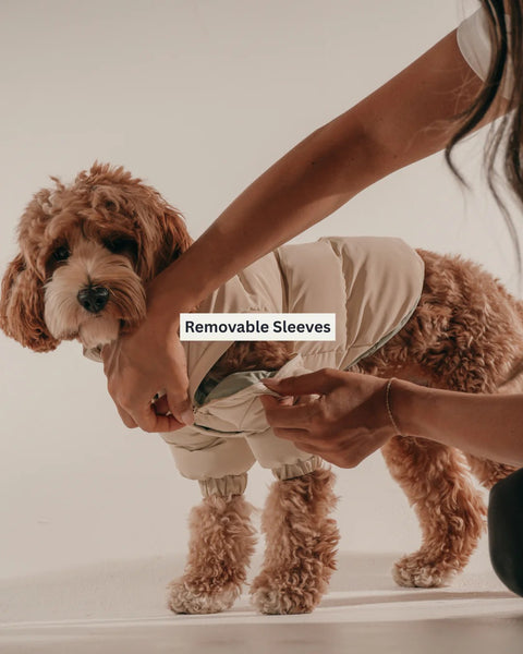 Marshmallow Modular Dog Puffer