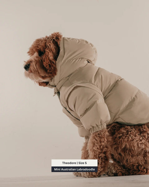 Marshmallow Modular Dog Puffer