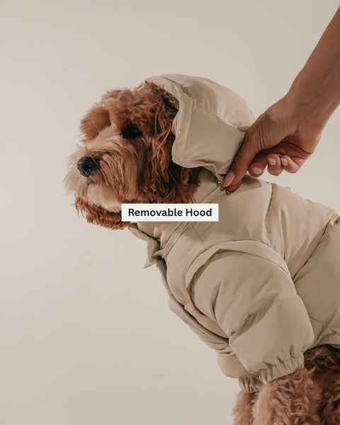 Marshmallow Modular Dog Puffer