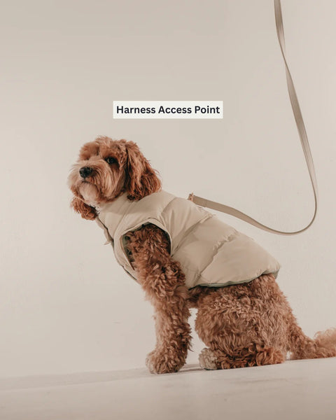 Marshmallow Modular Dog Puffer