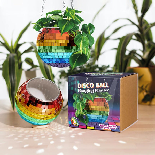 Rainbow Disco Ball Planter