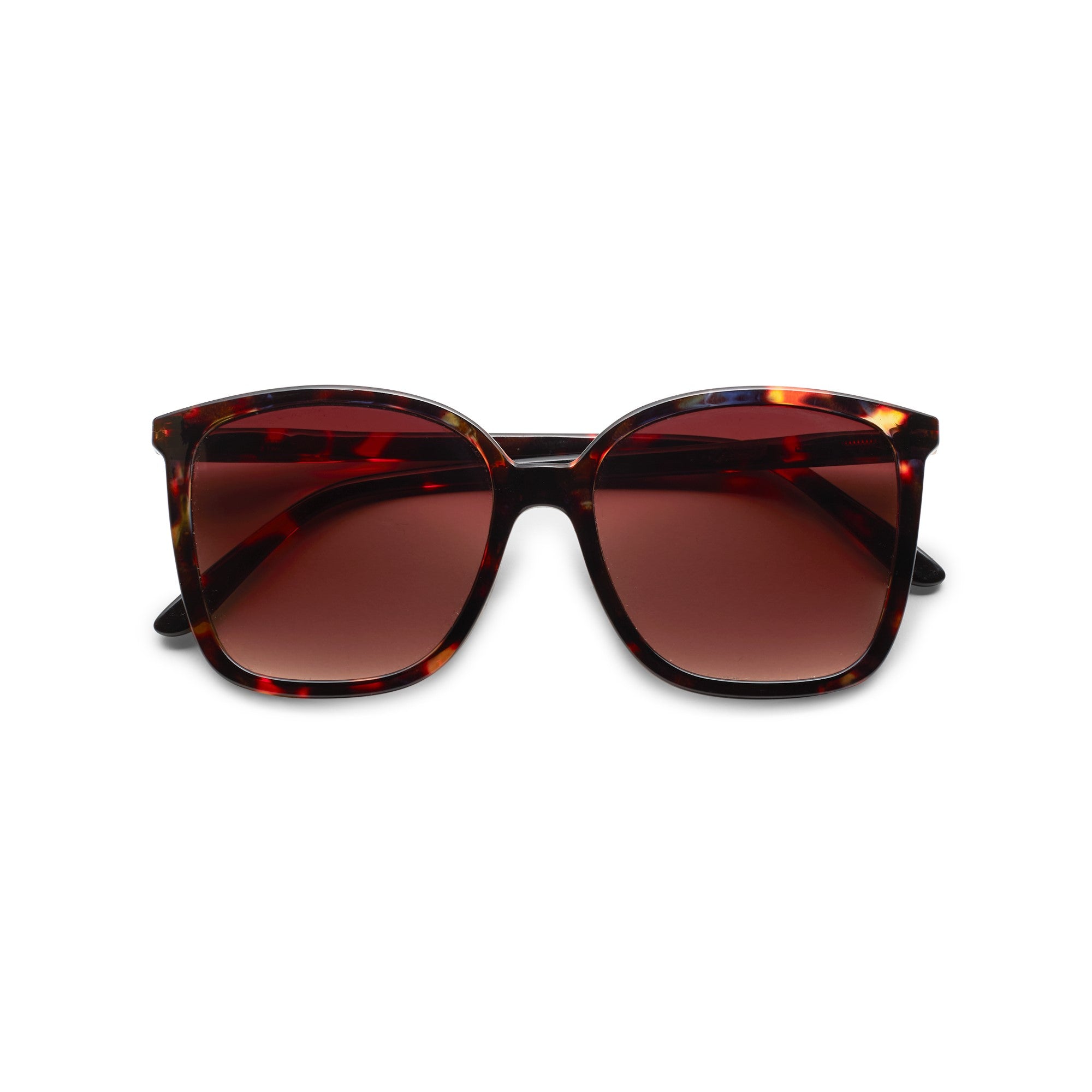 Have A Look Nymph Tortoise Sunglasses
