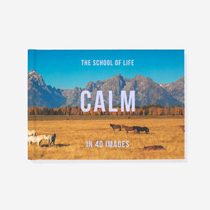 Calm in 40 Images self care book by The School of Life. 