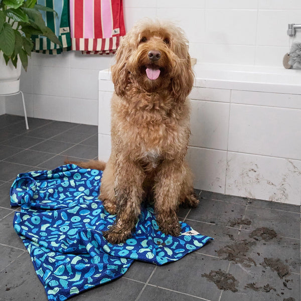Dock & Bay Dog Towel - A Dogs Dinner