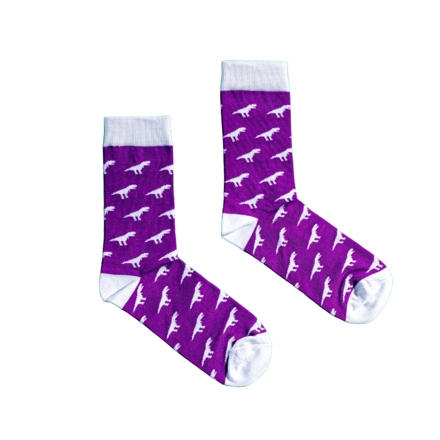 Purple Dinosaur Socks