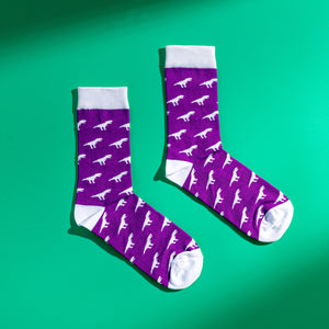 Purple Dinosaur Socks