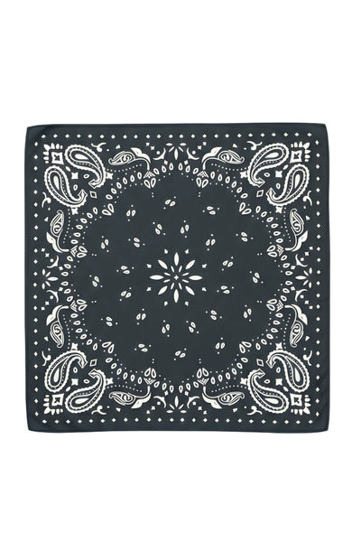 Black Polka Dot Paisley Border Scarf