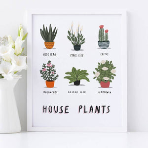 House Plants Unframed Print
